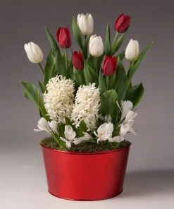Brighter Blooms SHOP ALL Red And White Tulips With Crocus And Hyacinth