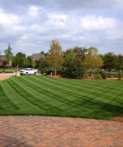 Brighter Blooms Lesco Tall Fescue Select Grass Seed