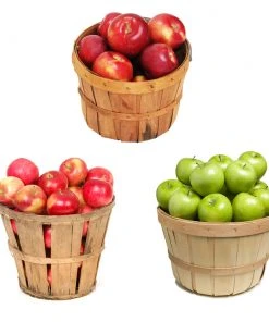 Brighter Blooms 3 In 1 Apple Tree Fruit Trees