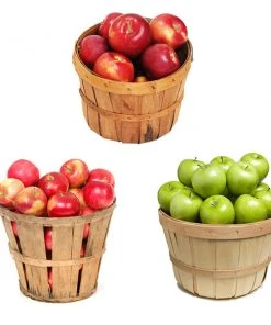 Brighter Blooms 3 In 1 Apple Tree Fruit Trees