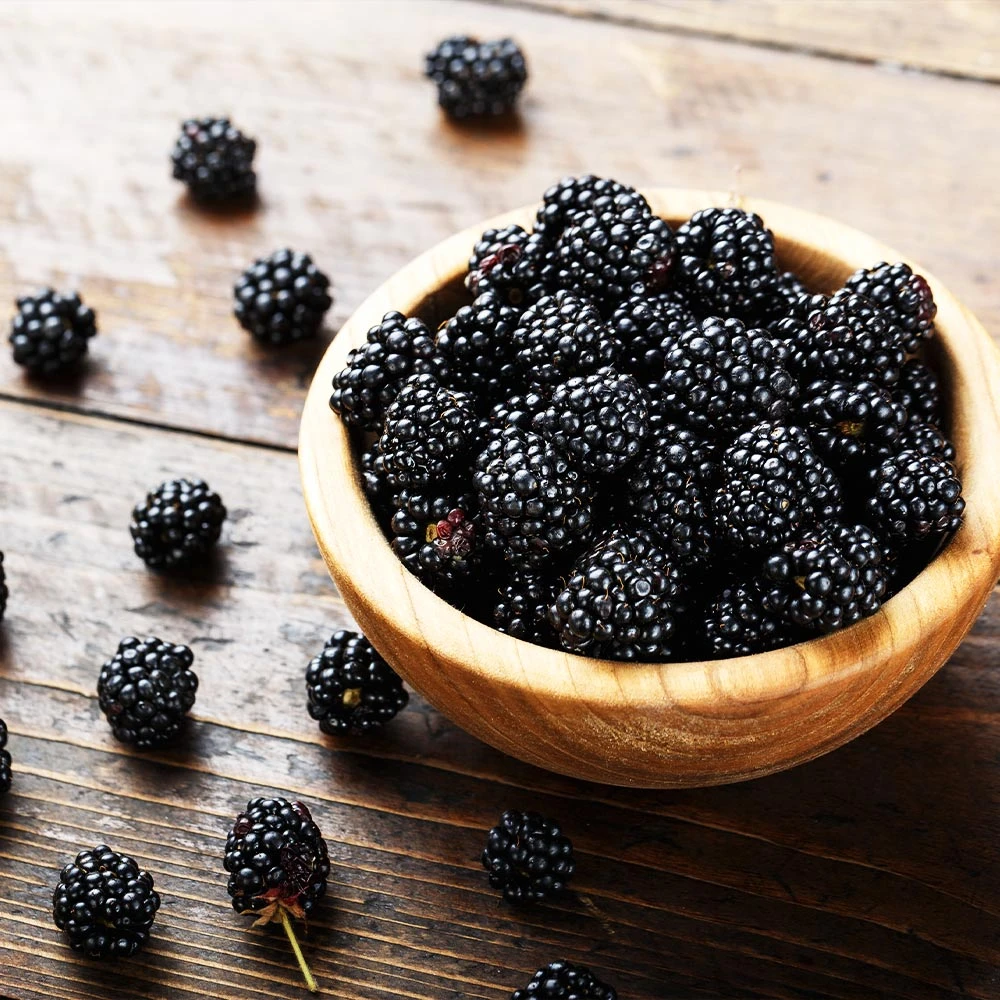 Brighter Blooms 3-in-1 Blackberry Bush 2 Brighter Blooms 3-in-1 Blackberry Bush