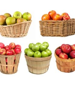 Brighter Blooms 5-in-1 Apple Tree Fruit Trees