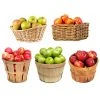 Brighter Blooms 5-in-1 Apple Tree Fruit Trees