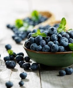 Brighter Blooms Aurora Blueberry Bush 8 Brighter Blooms Aurora Blueberry Bush