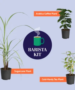 Brighter Blooms Barista Kit
