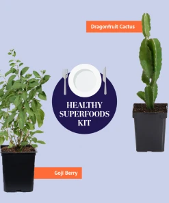 Brighter Blooms Fruit Trees Healthy Superfoods Kit 9 Brighter Blooms Fruit Trees Healthy Superfoods Kit