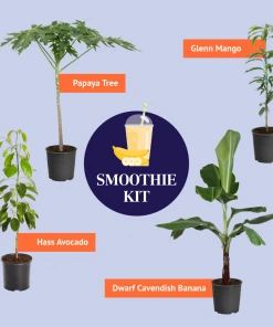 Brighter Blooms Smoothie Kit Fruit Trees