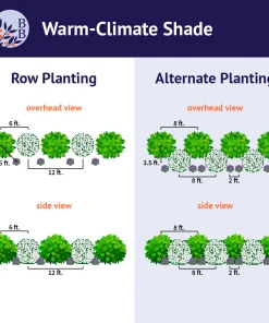 Brighter Blooms Warm-Climate Shade Garden Kit Shrubs & Hedges