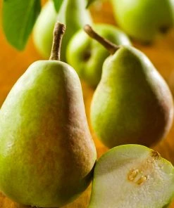 Brighter Blooms Pear Trees Bartlett Pear Tree