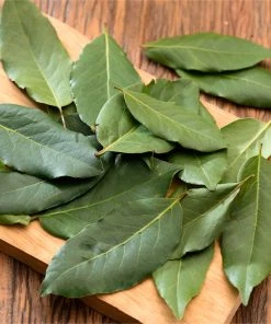 Brighter Blooms Evergreen & Privacy Bay Laurel Tree