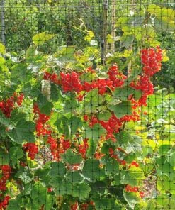 Brighter Blooms Bird Netting Pest & Disease Control