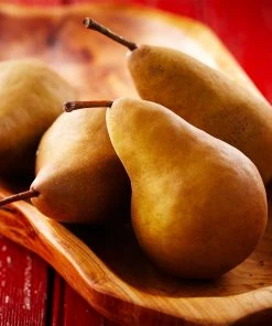 Brighter Blooms Bosc Pear Tree Pear Trees