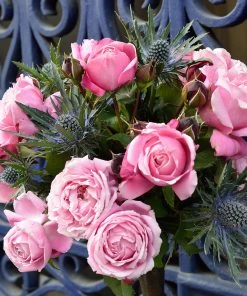 Brighter Blooms Cathedral Bells Rose