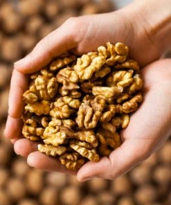 Brighter Blooms Chandler Walnut Tree Fruit Trees