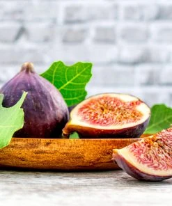 Brighter Blooms Chicago Hardy Fig Tree Fruit Trees