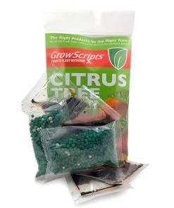 Brighter Blooms Citrus Tree Care Kit