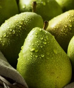Brighter Blooms D'Anjou Pear Tree Pear Trees