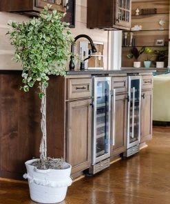 Brighter Blooms Variegated Ficus Triangularis Tree SHOP ALL