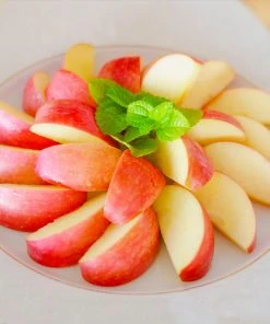 Brighter Blooms Gala Apple Tree Fruit Trees 8 Brighter Blooms Gala Apple Tree Fruit Trees