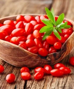 Brighter Blooms Fruit Trees Goji Berry Plant