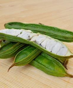 Brighter Blooms Ice Cream Bean Tree 7 Brighter Blooms Ice Cream Bean Tree