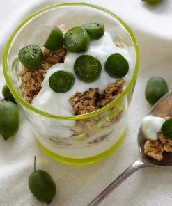 Brighter Blooms Fruit Trees Cold Hardy Kiwi (Issai Arctic Kiwi) Plant