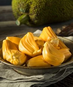 Brighter Blooms Jackfruit Tree Fruit Trees