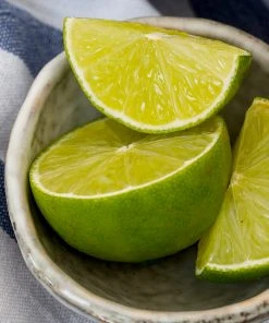 Brighter Blooms Key Lime Bush House & Patio