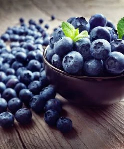 Brighter Blooms Fruit Trees Legacy Blueberry Bush 8 Brighter Blooms Fruit Trees Legacy Blueberry Bush