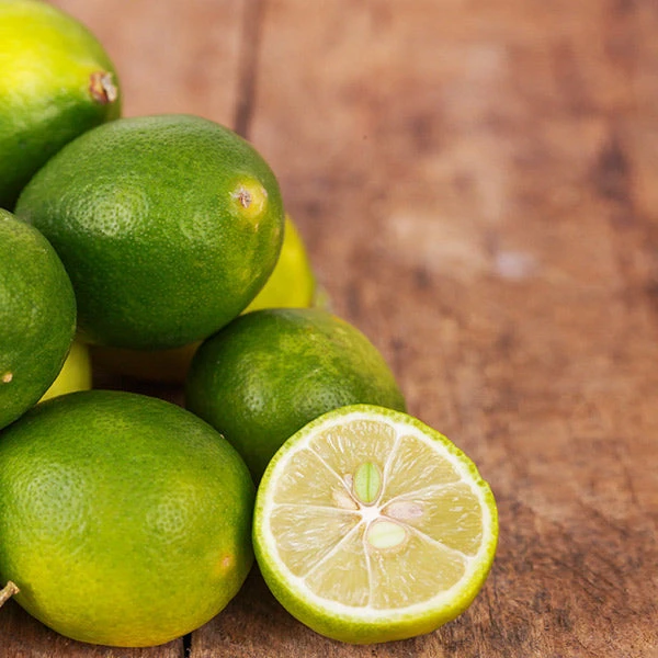 Brighter Blooms Limequat Tree New Trees 1 Brighter Blooms Limequat Tree New Trees