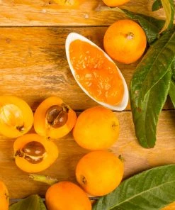 Brighter Blooms Loquat Tree Fruit Trees