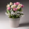 Brighter Blooms Soft & Sweet Bulb Garden SHOP ALL