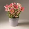 Brighter Blooms Spring Blooming Tulip & Hyacinth Bulbs Pot SHOP ALL