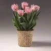 Brighter Blooms Spring Blooming Tulip Bulbs Pot SHOP ALL