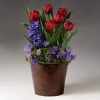 Brighter Blooms Red Royalty Bulb Garden SHOP ALL