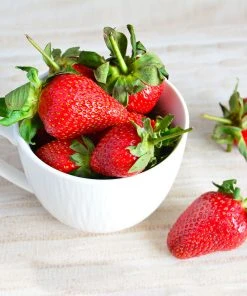 Brighter Blooms Maxim Strawberry Plant
