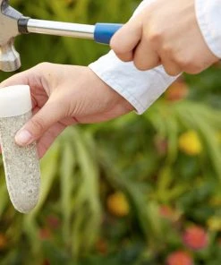 Brighter Blooms MiracleGro - Fruit & Citrus Spikes Fertilizers & Soil Additives