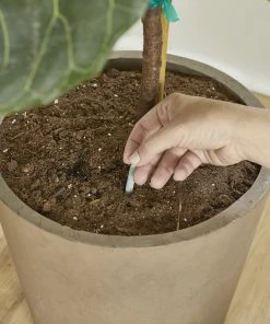 Brighter Blooms Fertilizers & Soil Additives MiracleGro - Houseplant Spikes