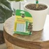 Brighter Blooms Fertilizers & Soil Additives MiracleGro - Houseplant Spikes