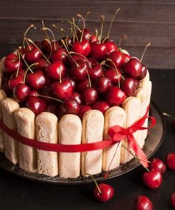 Brighter Blooms Dwarf North Star Cherry Tree 6 Brighter Blooms Dwarf North Star Cherry Tree