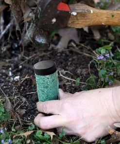 Brighter Blooms Palm Tree Fertilizer Spikes Palm Trees