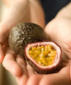 Brighter Blooms Passion Fruit Vine Fruit Trees