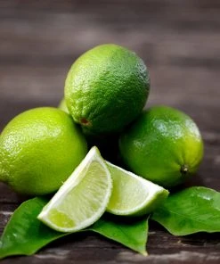 Brighter Blooms Persian 'Bearss' Lime Bush