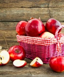 Brighter Blooms Red Delicious Apple Tree