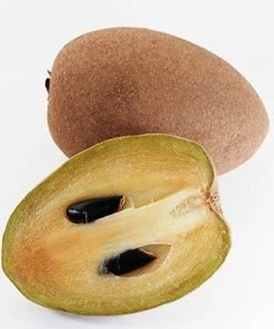 Brighter Blooms Sapodilla Tree SHOP ALL