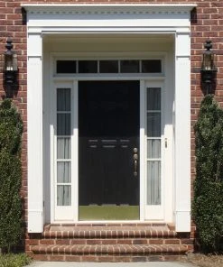 Brighter Blooms Evergreen & Privacy Sky Pencil Holly Tree