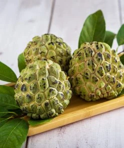 Brighter Blooms Sugar Apple Tree Fruit Trees
