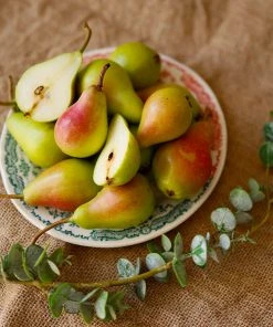 Brighter Blooms Summercrisp Pear Tree Fruit Trees