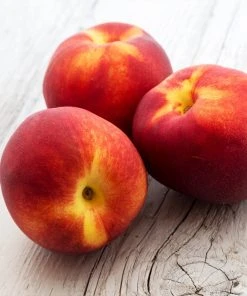 Brighter Blooms Sunglo Nectarine Fruit Trees