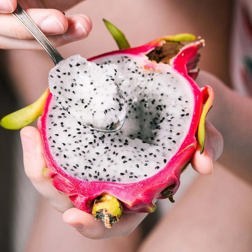 Brighter Blooms Fruit Trees Healthy Superfoods Kit 4 Brighter Blooms Fruit Trees Healthy Superfoods Kit